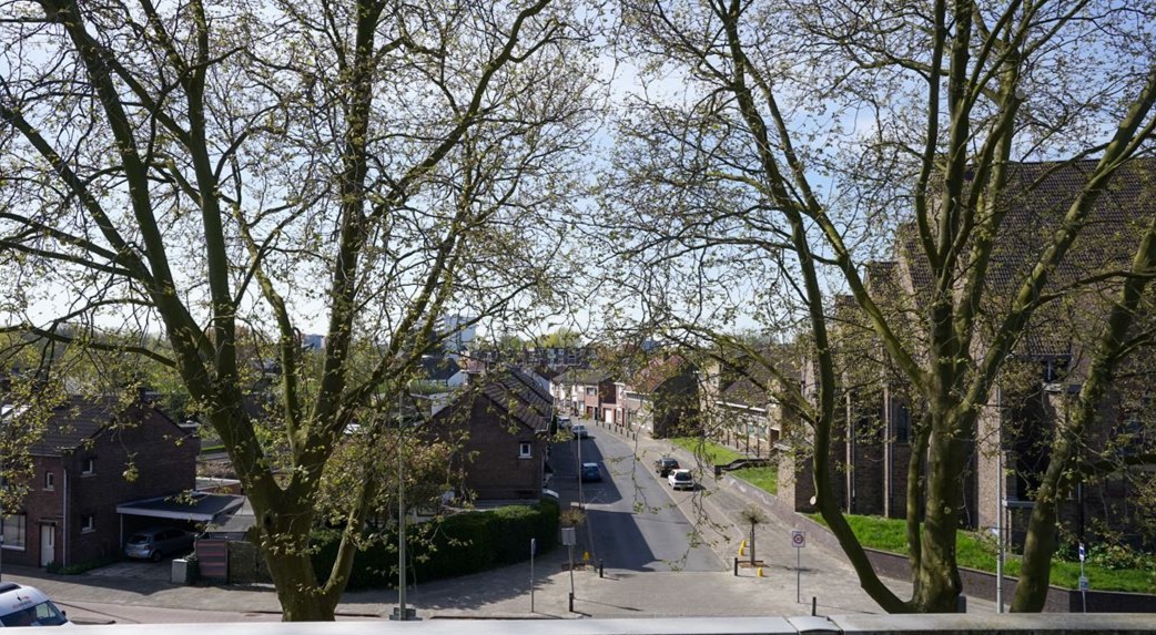 timmers-timmers-schandelerboord-6415-px-heerlen-schandelen